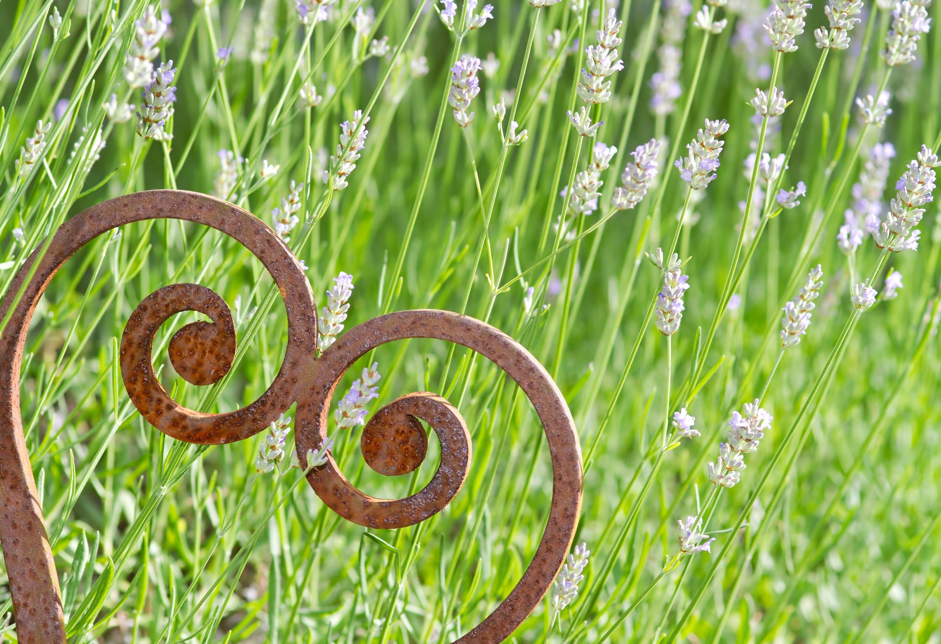 Rostige Metallkunst im Garten