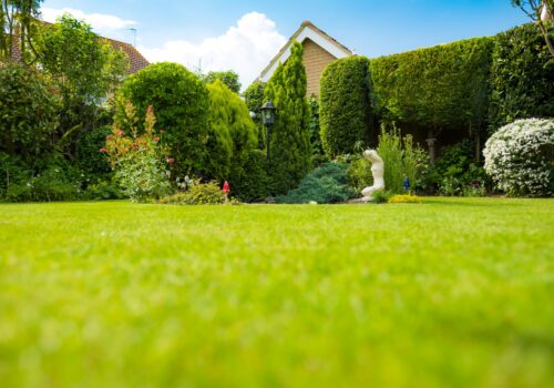 Wie der Garten den Wert deines Hauses steigert: Darauf solltest du achten